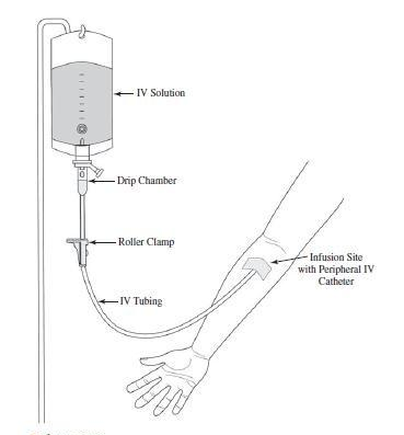 Image1.png